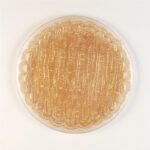 Wholesale Glass Charger Plate PZ-064 - Image 5
